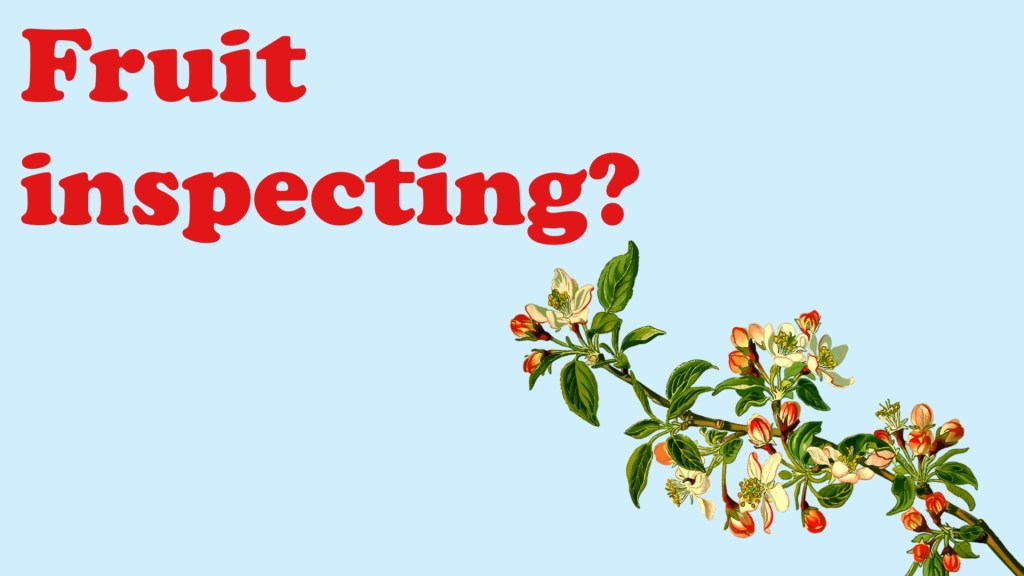Fruit inspecting?